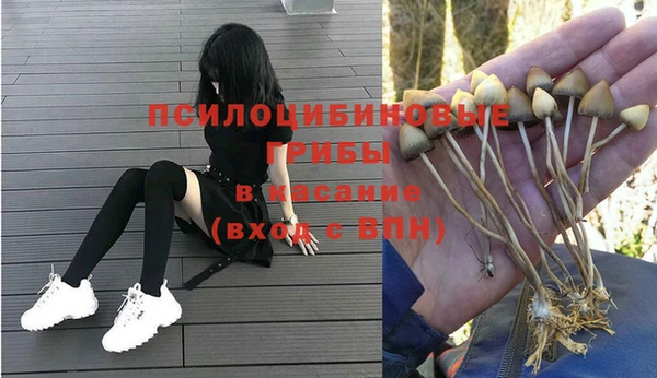 дурь Новозыбков