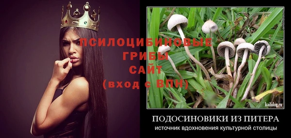 дурь Новозыбков