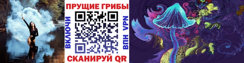 Галлюциногенные грибы Magic Shrooms  Купить закладки  Новотроицк 